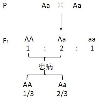 ①本小题考查通过分析遗传系谱图判断致病基因的染色体定位及遗传