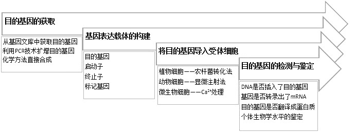1,基因工程流程图