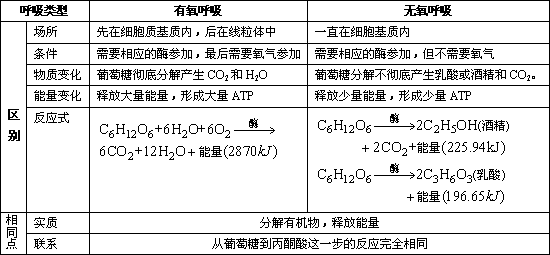 高考痛点:有氧呼吸与无氧呼吸