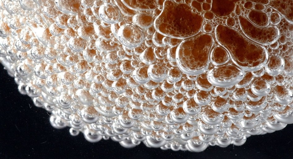 在硅酸钠溶液中生长的氯化钴晶体