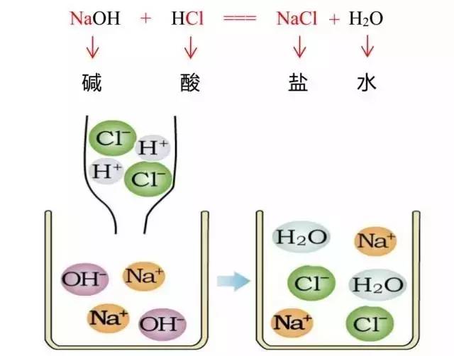 (以氢氧化钠溶液和稀盐酸溶液为例)中和反应:酸与碱作用生成盐和水的