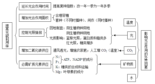 2,影响光合作用的外界因素与提高光能利用率的措施