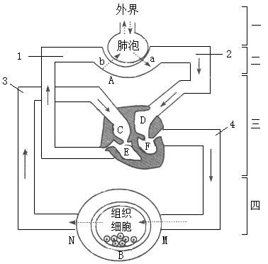(其他) 如图是人体内组织与外界环境进行气体交换的全过程示意图.